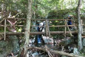 Outdoors: Kinglets brighten hike up Lower Wolfjaw in Adirondacks