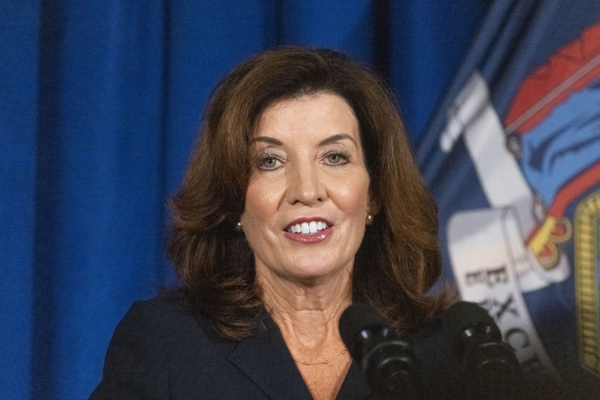 Hochul appoints inspector general, other prominent posts - Vimarsana News