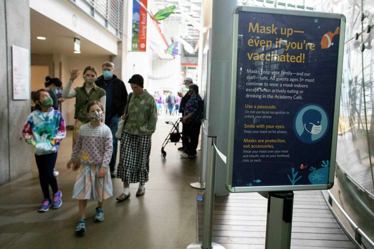 Visitors follow mask requirements at the California Academy of Sciences in San Francisco in August.