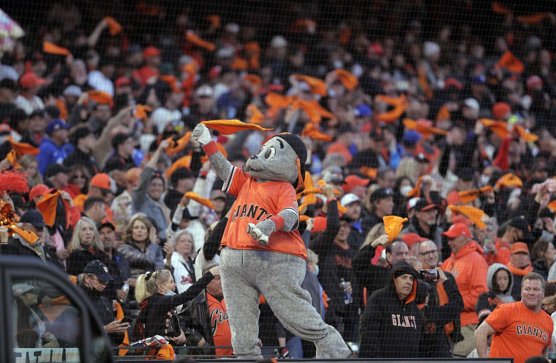The San Francisco Giants mascot Lou Seal stands on the field before
