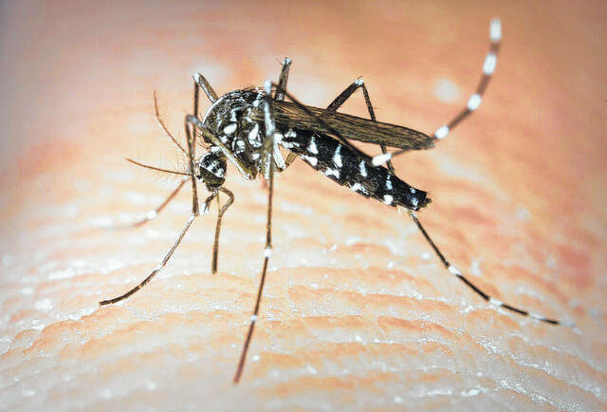 Mosquito traps are being placed around Scott County as part of the health department's screening for West Nile virus.