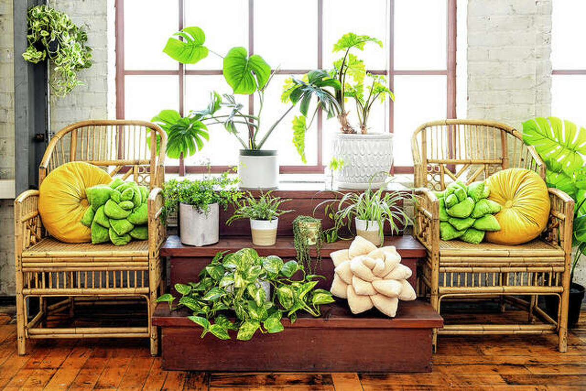 Green Philosophy Co.’s soft plush pillows are in the shape of a tropical leaf or succulent. It has partnered with Trees for the Future, so pillow and throw sales support planting initiatives worldwide.