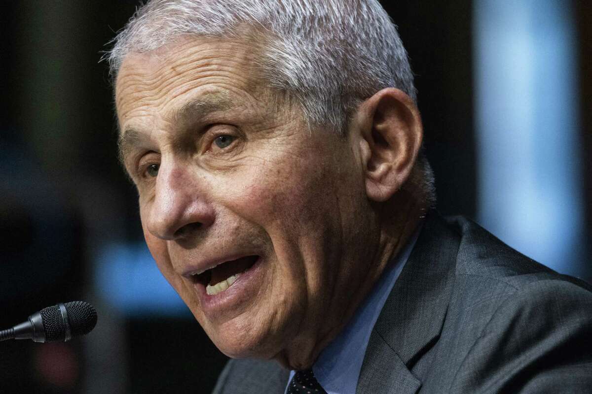 Anthony Fauci's encouragement to enjoy the scariest time of the year comes amid a decline in coronavirus cases, hospitalizations and deaths.