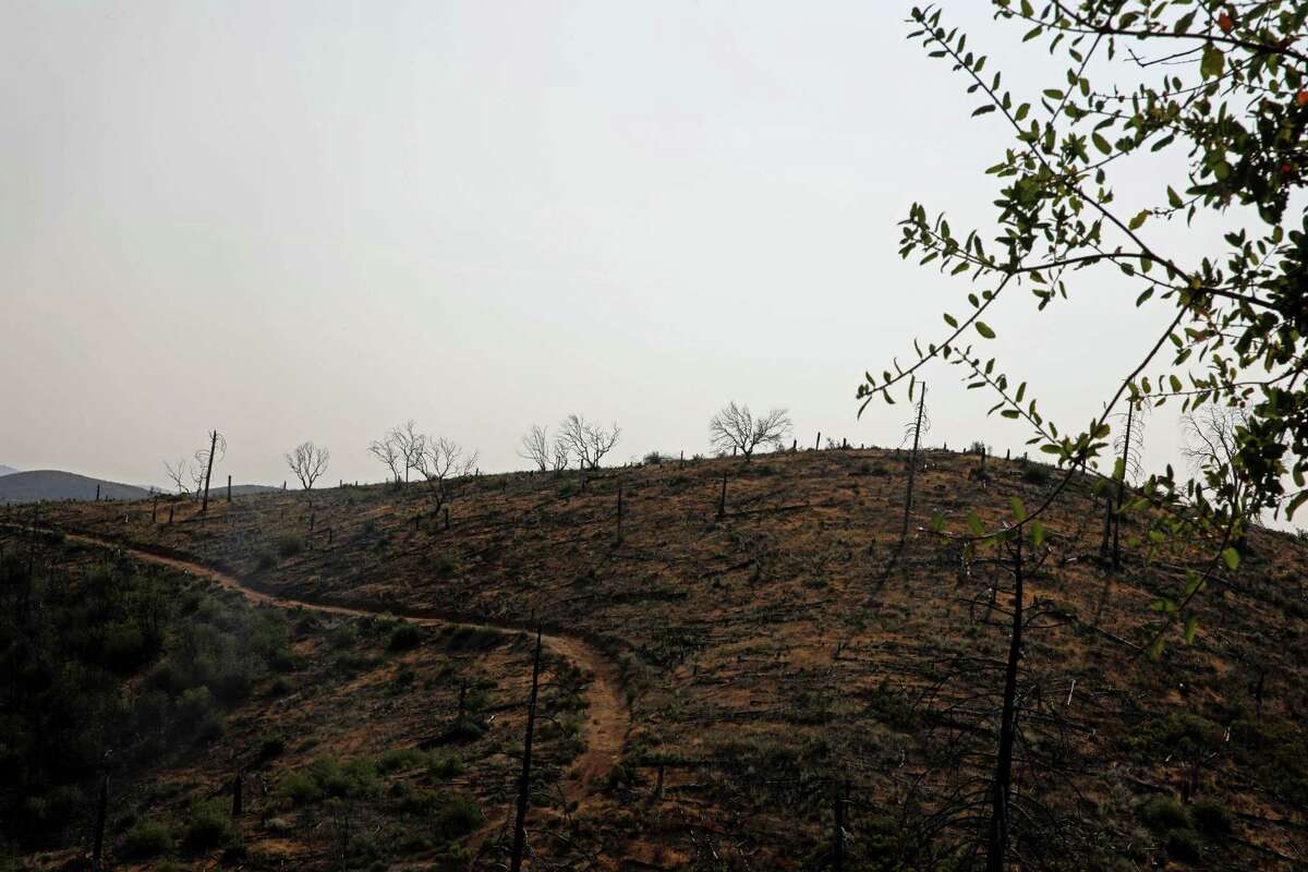 A burn scar can be seen from Leslie Kaulum's property on Friday, August 13, 2021, in Mountain Ranch, Calif. Six years after the 2015 Butte Fire, Kaulum, 64, is still waiting to be paid in full, thanks to the bankruptcy of PG&E, which caused the fire. She and her husband stand to be paid from the independent PG&E Fire Victim Trust that was set up last year, but it's a slow process. "It's one of the clubs no one wants to be a part of," Kaulum said. "And now we're getting to be a big club, just in the state of California."