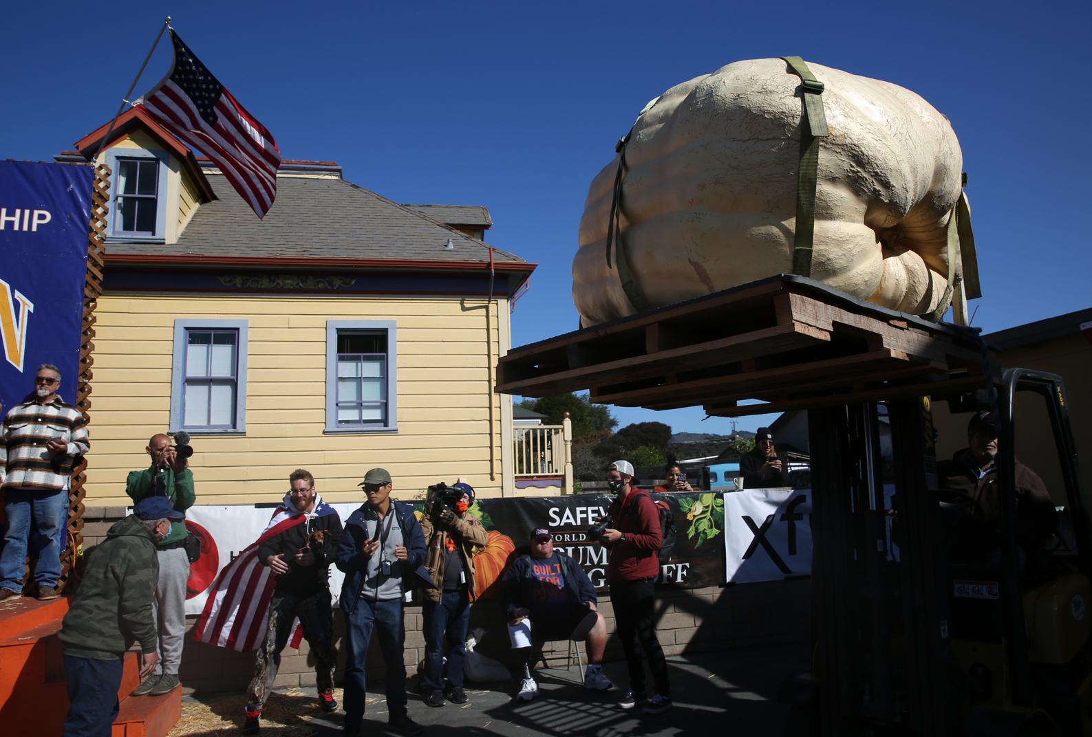 See the two-ton gourd that triumphed in Half Moon Bay pumpkin contest - Vimarsana News