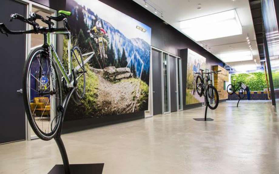 Wilton's Cannondale sold to European 