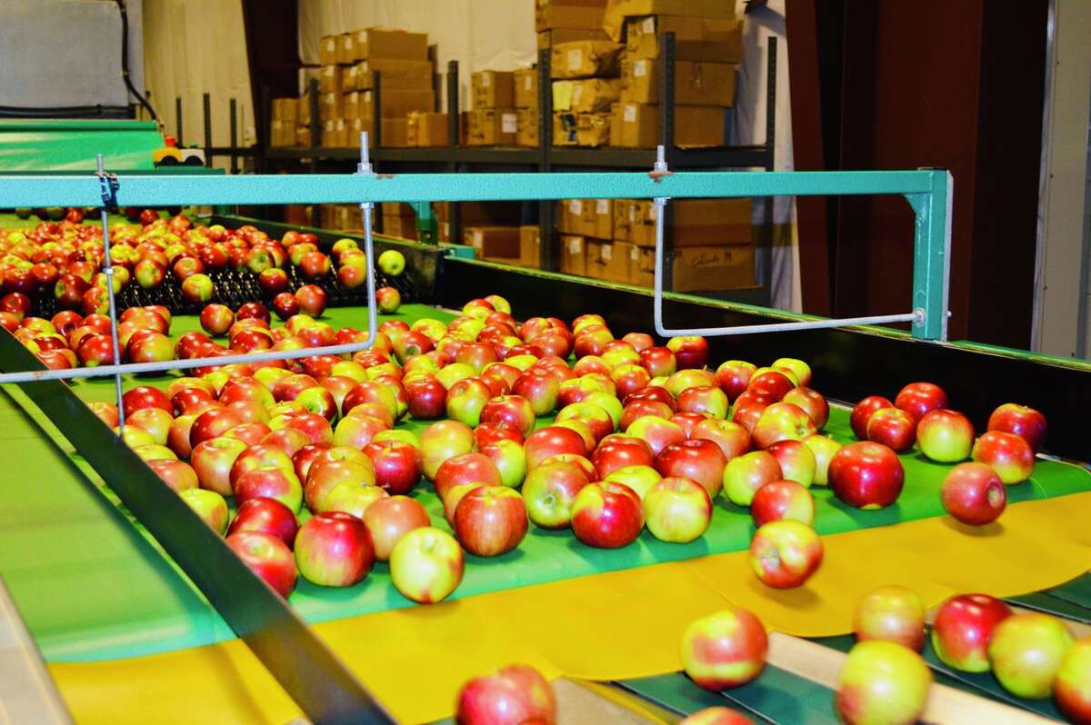 Glenmont apple distributor goes online to bring new apple varieties to