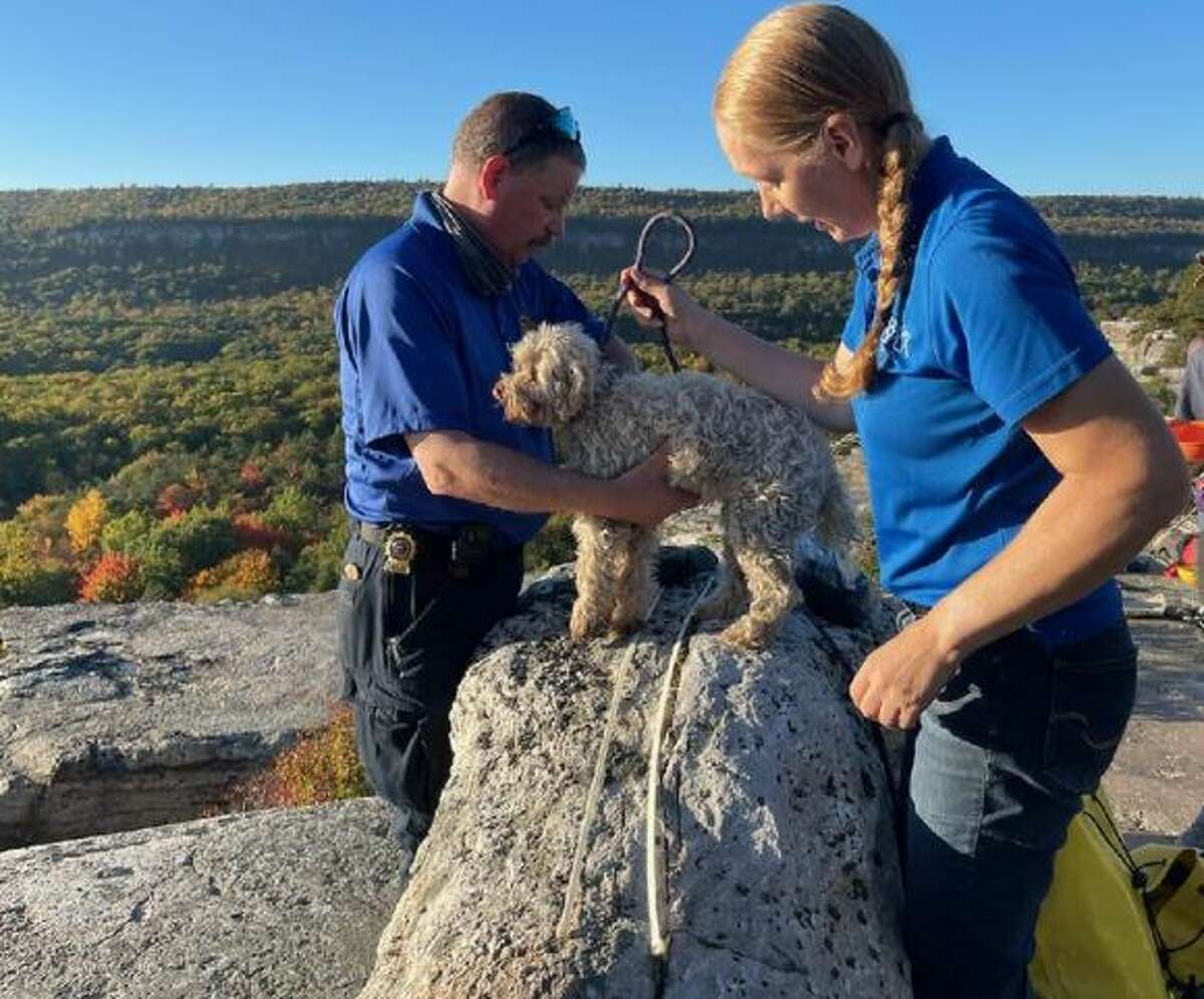 A small cockapoo named Liza fell and became trapped in a crevice in Minnewaska State Park in October. She was rescued after five days. Her owner said she was off leash briefly.