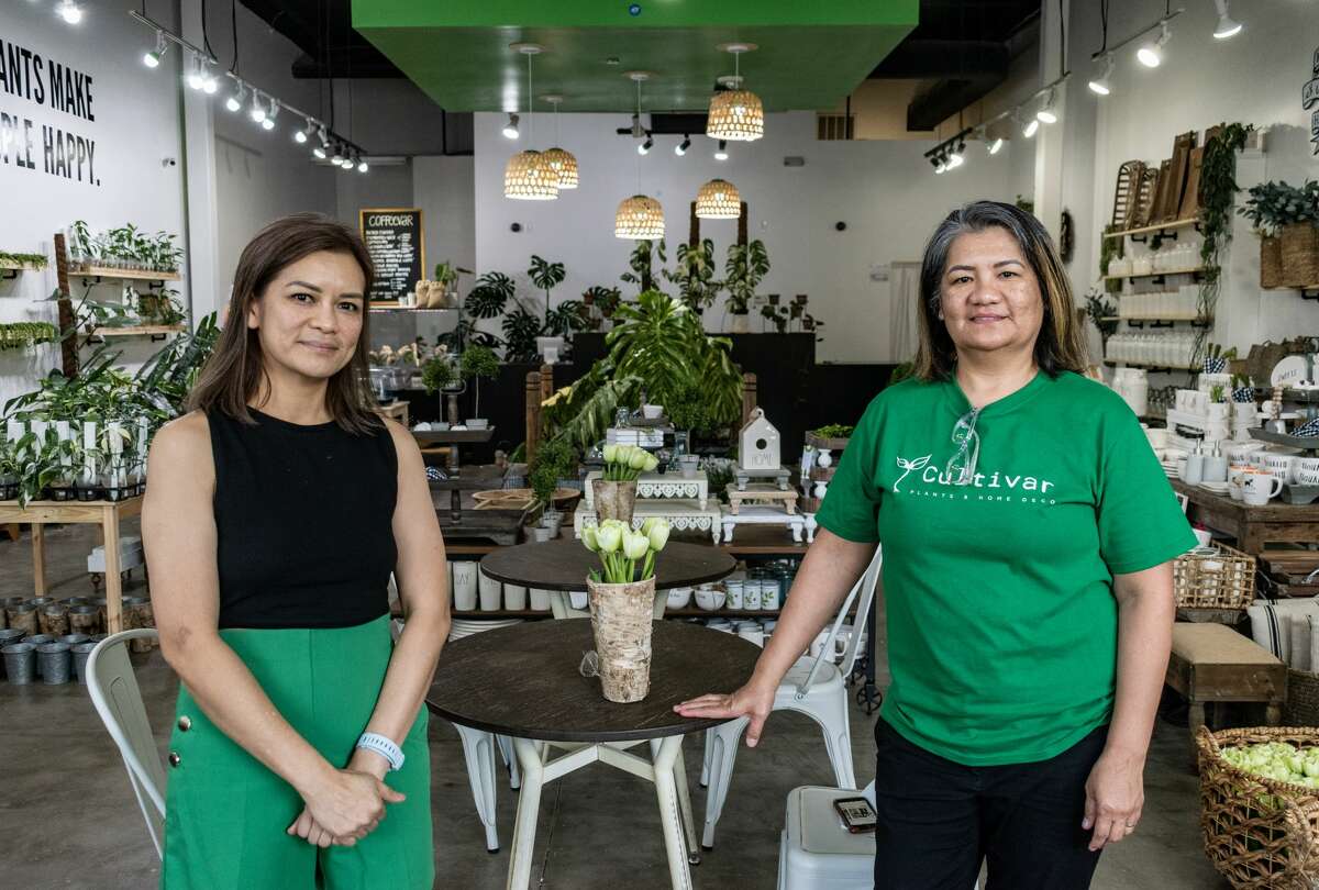 Filipino owned 'Cultivar' serving up hot coffee and rare ...