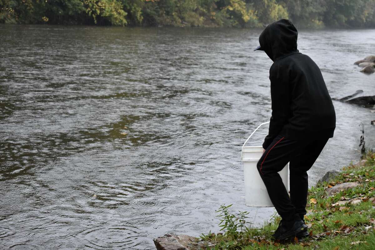 On Oct. 14, students from Big Rapids Middle School helped Harrietta Hills Trout Farm release young fish into the Muskegon River using buckets.