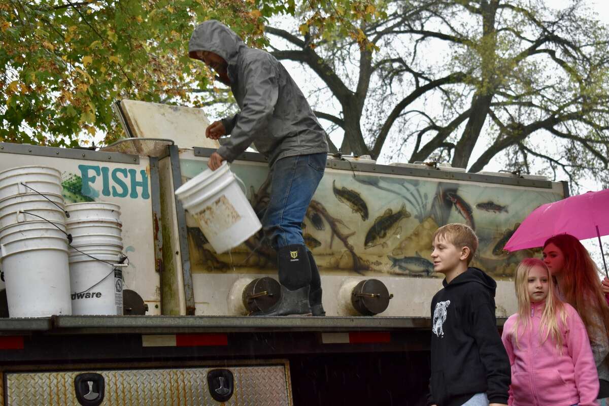 On Oct. 14, students from Big Rapids Middle School helped Harrietta Hills Trout Farm release young fish into the Muskegon River using buckets.
