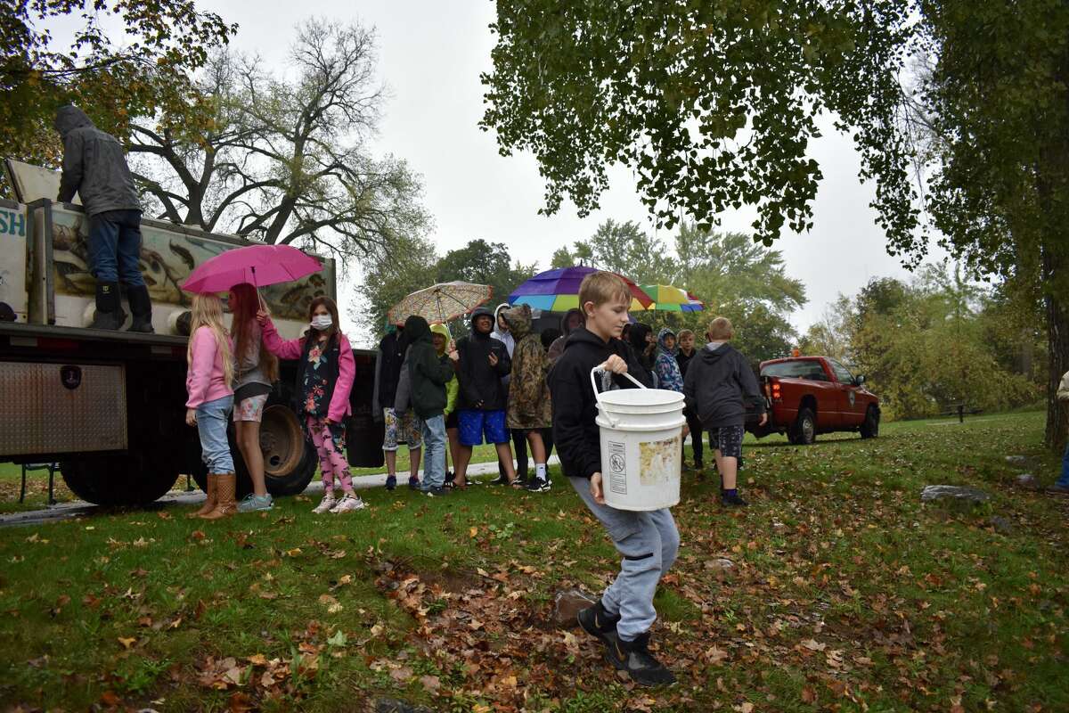 On Oct. 14, students from Big Rapids Middle School helped Harrietta Hills Trout Farm release young fish into the Muskegon River using buckets.