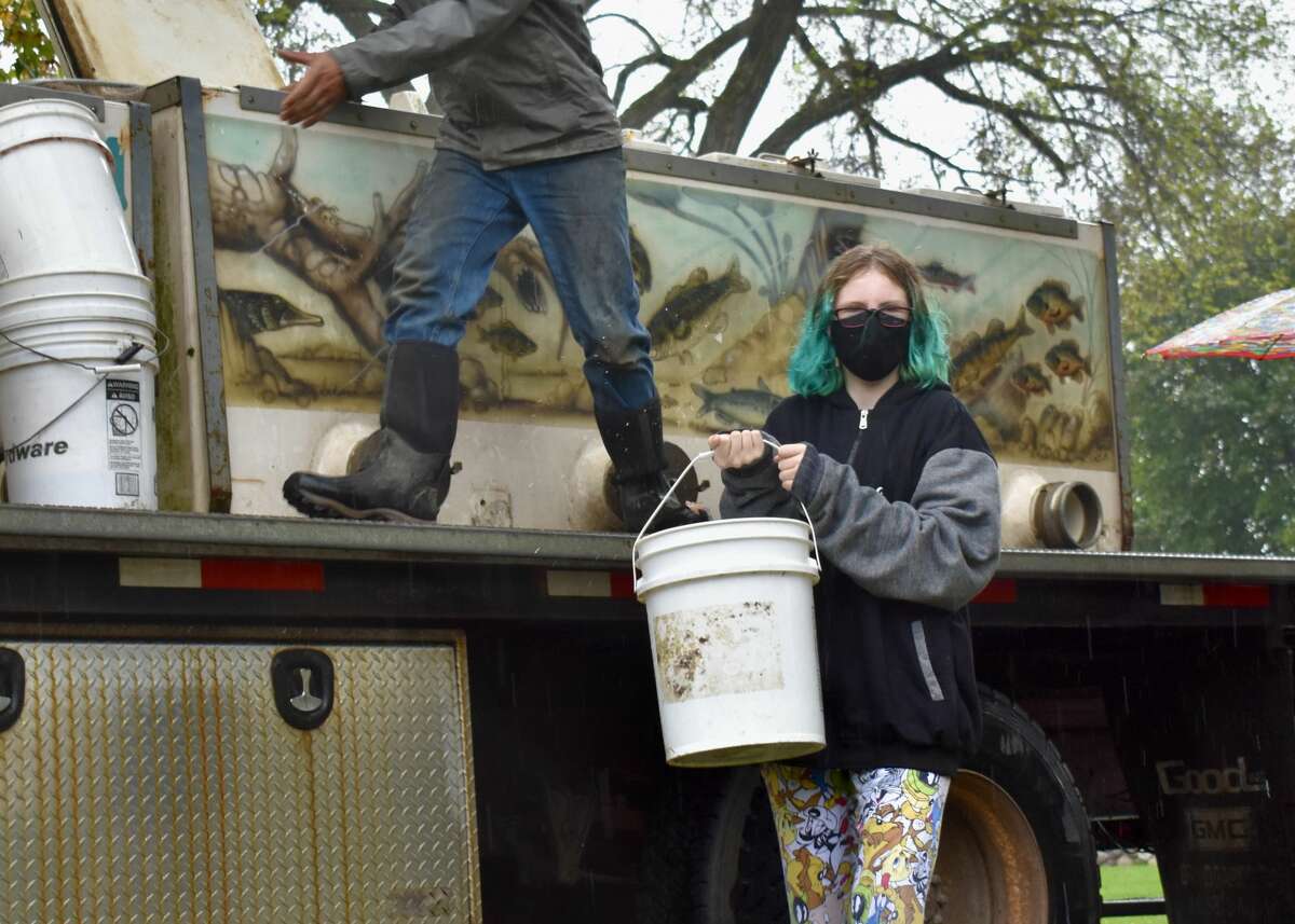 On Oct. 14, students from Big Rapids Middle School helped Harrietta Hills Trout Farm release young fish into the Muskegon River using buckets.