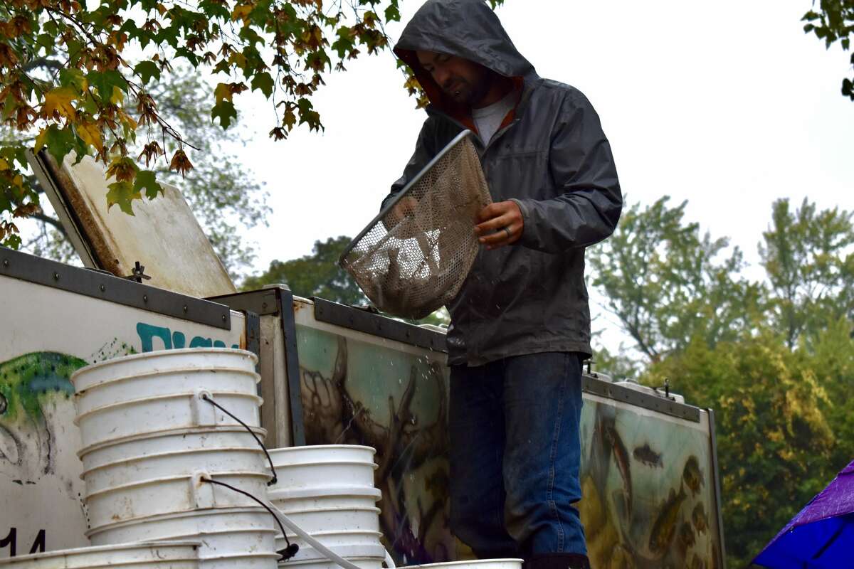 On Oct. 14, students from Big Rapids Middle School helped Harrietta Hills Trout Farm release young fish into the Muskegon River using buckets.