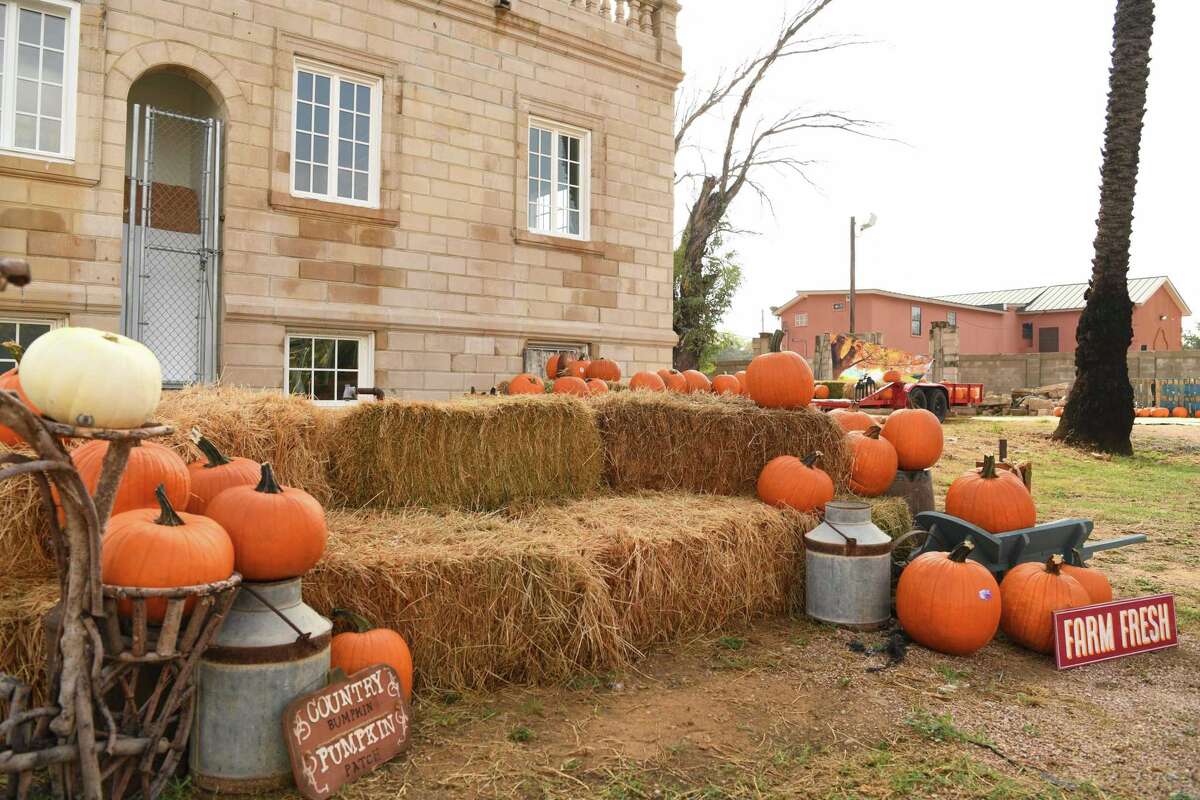 City of Laredo opens pumpkin patch at Cancesco Community Garden