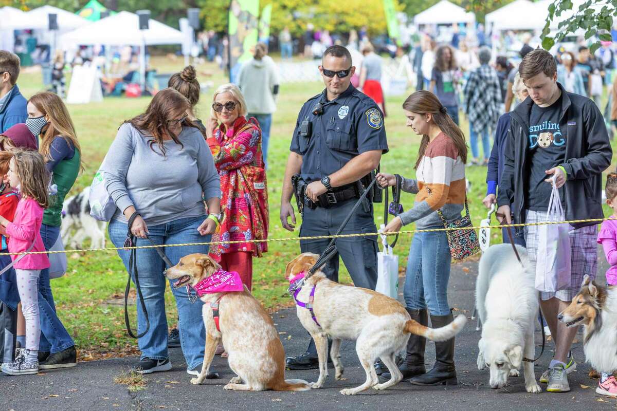 The Westport Dog Festival was canceled twice due to the COVID-19 pandemic, and was supposed to make its grand return Oct. 10. However, inclement weather postponed the event, but it finally went off on Sunday.