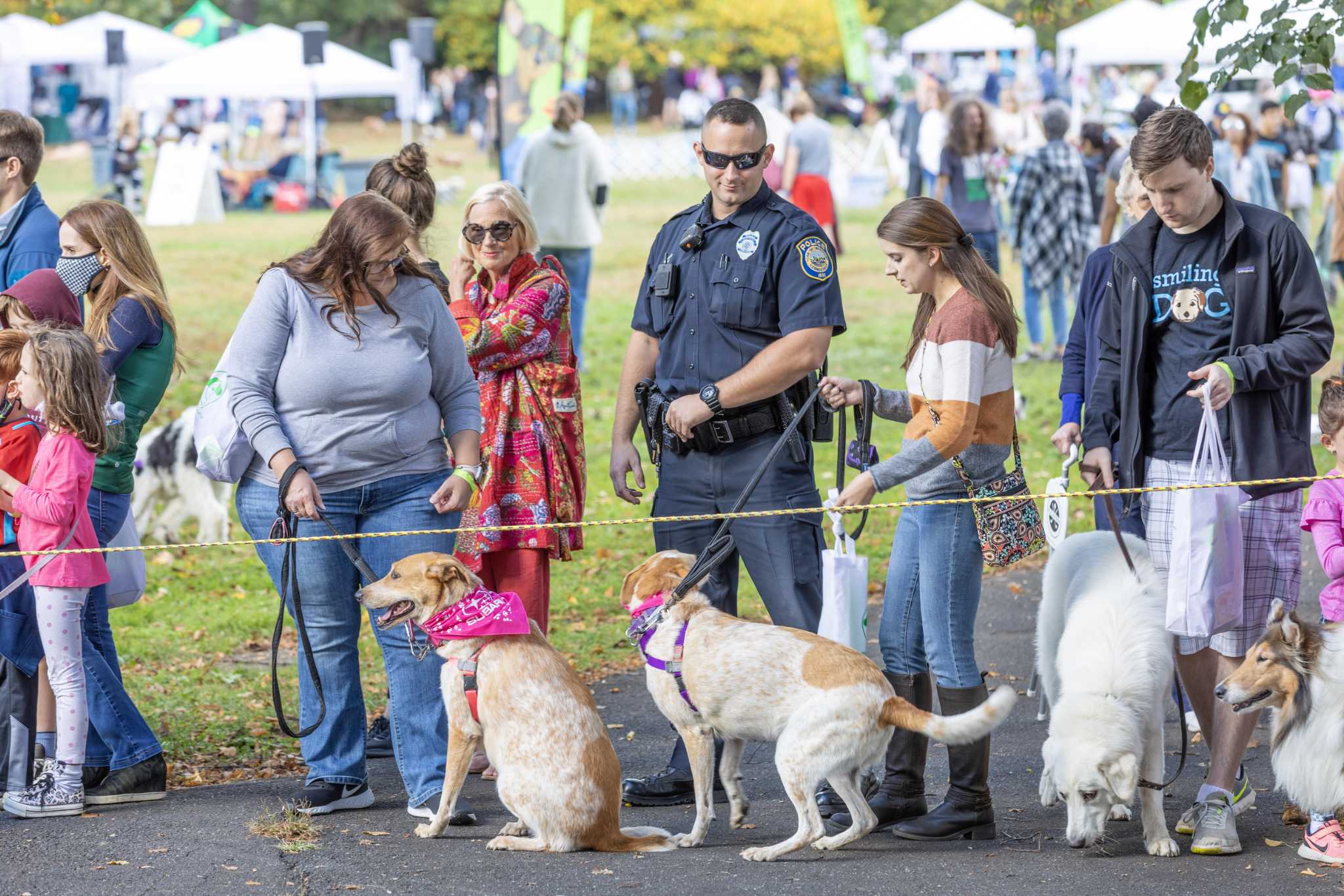 In Photos The fifth annual Westport Dog Festival