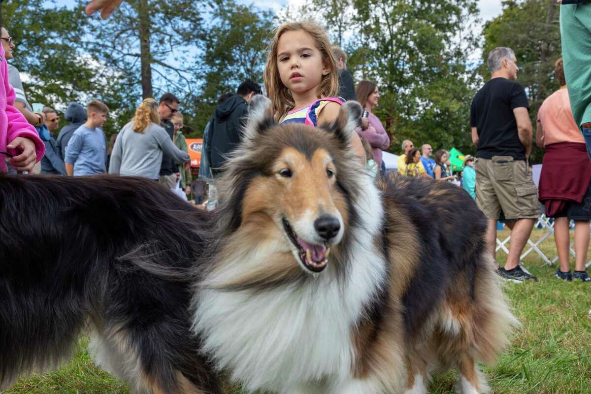 Many people came with their dogs to the fifth annual Westport Dog Festival Sunday.