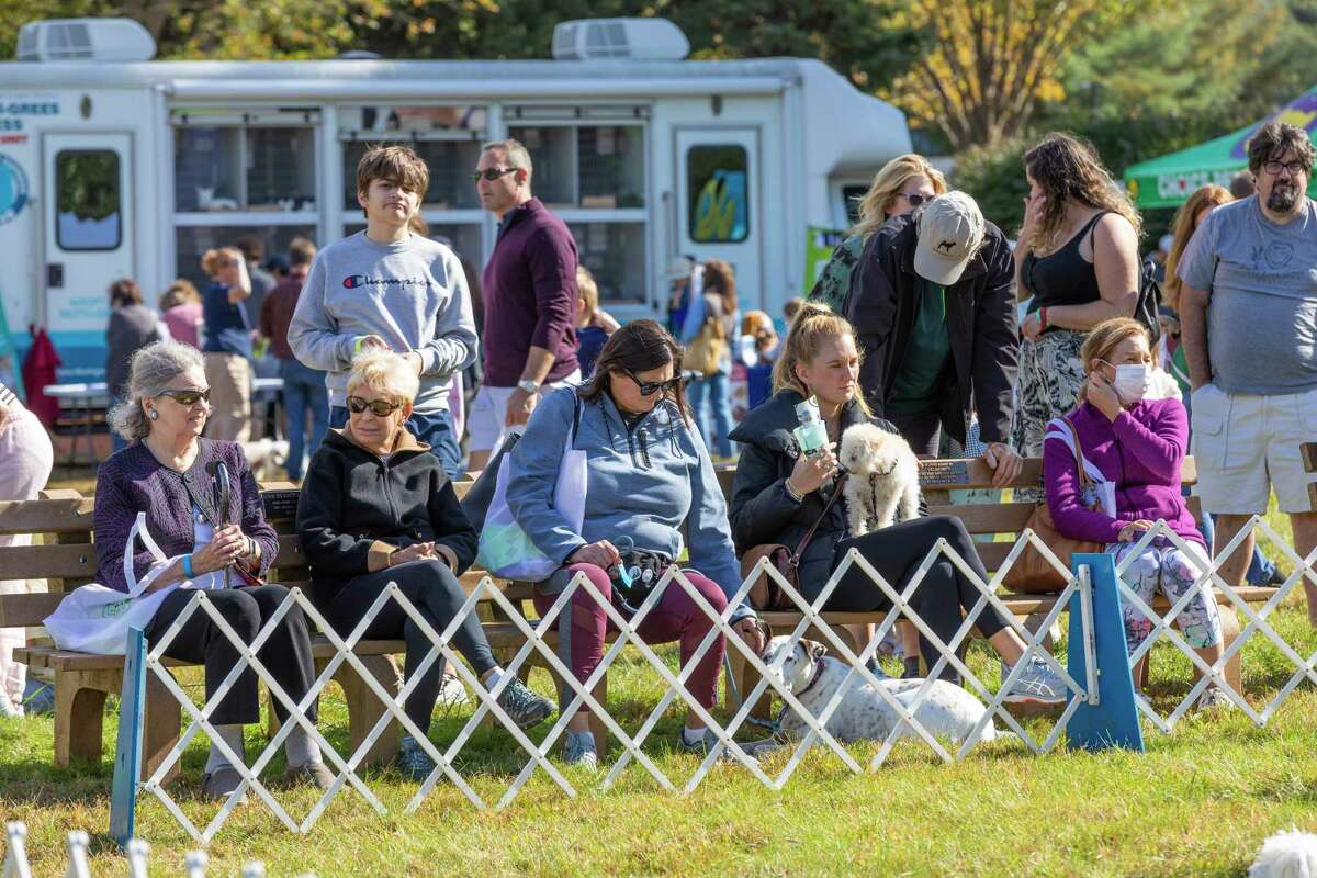Many people came with their dogs to the fifth annual Westport Dog Festival Sunday.