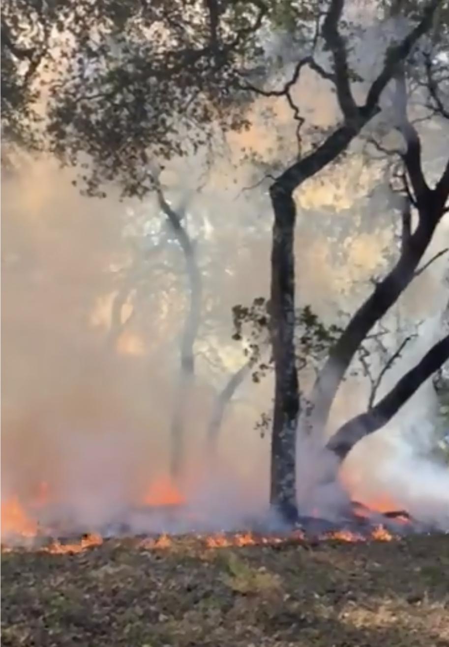 'We have no room for error': How a prescribed burn in Santa Cruz County got out of control - Vimarsana News