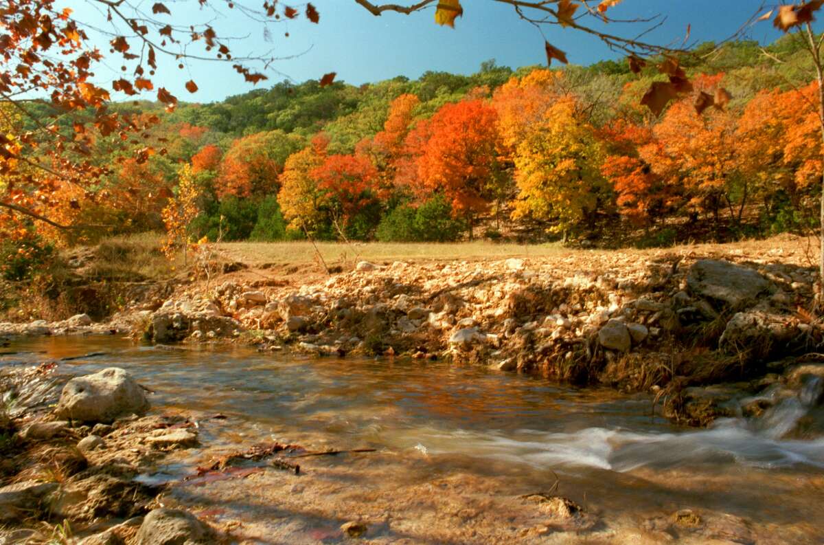 Lost Maples State Natural Area in the Texas Hill Country is pictured in the autumn. A viral Reddit post points out that autumn doesn't mean much in Texas, where were temps still dominate.