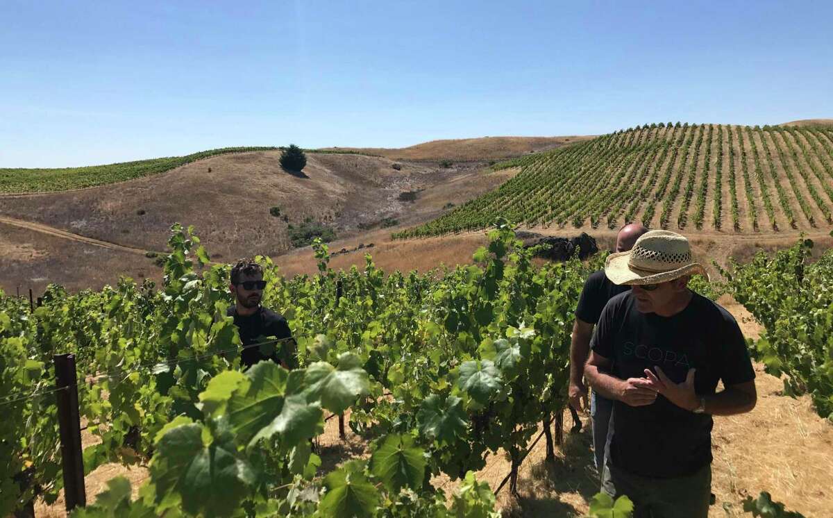 Winemaker Paul Gordon (right) walks through his hilly, high-elevation Halcon Vineyard in Mendocino County’s Yorkville Highlands. Gordon has just sold the property to Pax Mahle and Baron Ziegler. In this photo, he’s talking to winemakers Evan Lewandowski (left) and Ryan Glaab.