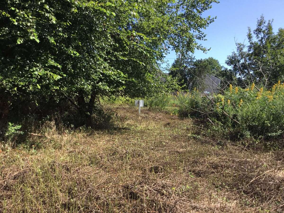 The Land Trust flagship property on First Avenue in Laurel Beach. Tree Dedication honoring past MLCT presidents will be held on Nov. 6 at 3pm. The public is invited.