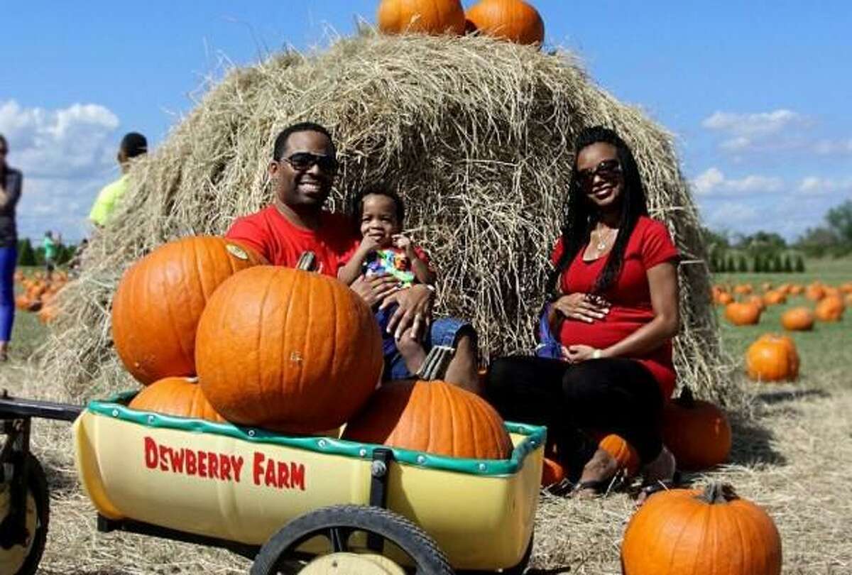 These pumpkin patches are the best in and around Katy