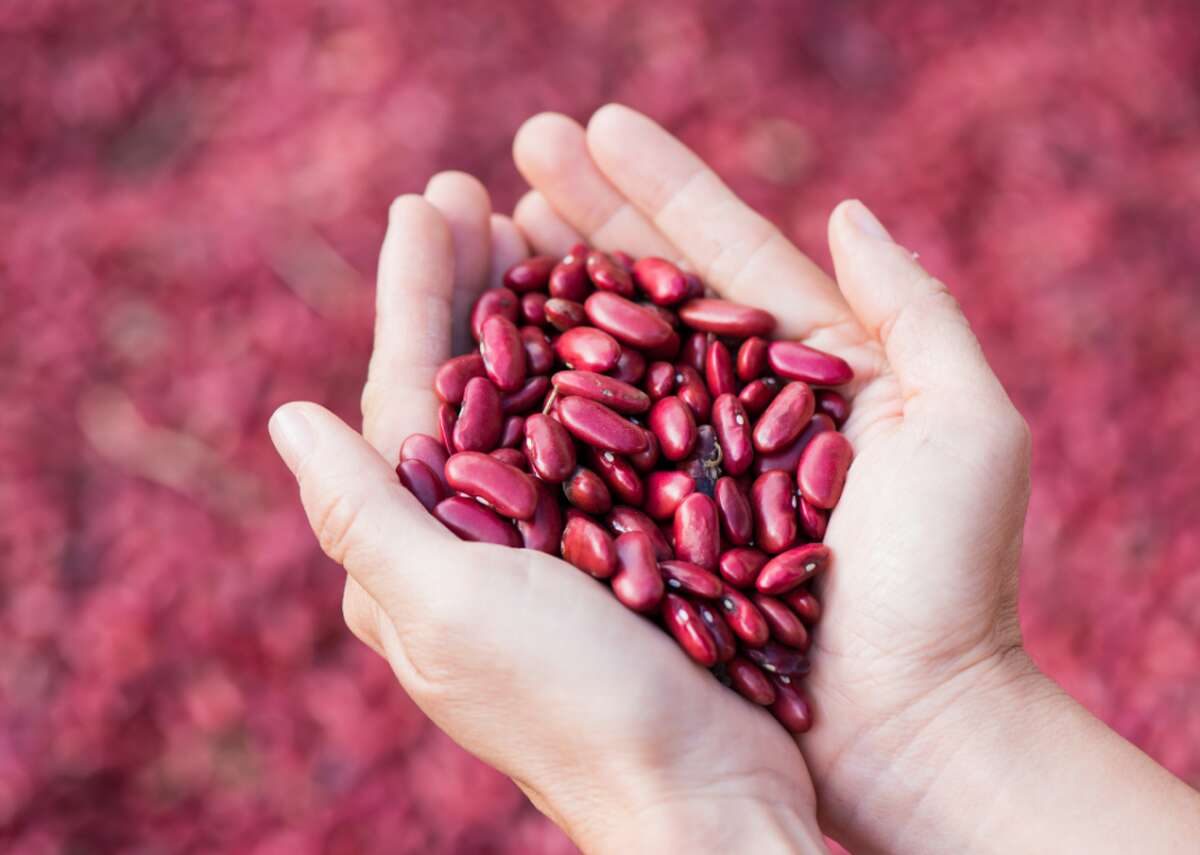 Iron - Kidney beans, dried: 3.95 mg per 2-ounce serving (21.9% of daily value) - Dark chocolate: 3.37 mg per 1-ounce serving (18.7% of daily value) - Kale: 1.6 mg per 3.5-ounce serving (8.9% of daily value) The metal iron is essential for oxygen transport and DNA synthesis, but having too much in the body can cause tissue damage. Too little can cause anemia, while levels too high can cause damage to the heart, liver, and joints. In addition to iron, kidney beans are an excellent source of protein and folate (a vitamin that increases red blood cell production). Dark chocolate is much more nutritious than milk or white chocolate—look for products containing at least 45% cacao for the highest levels of iron.