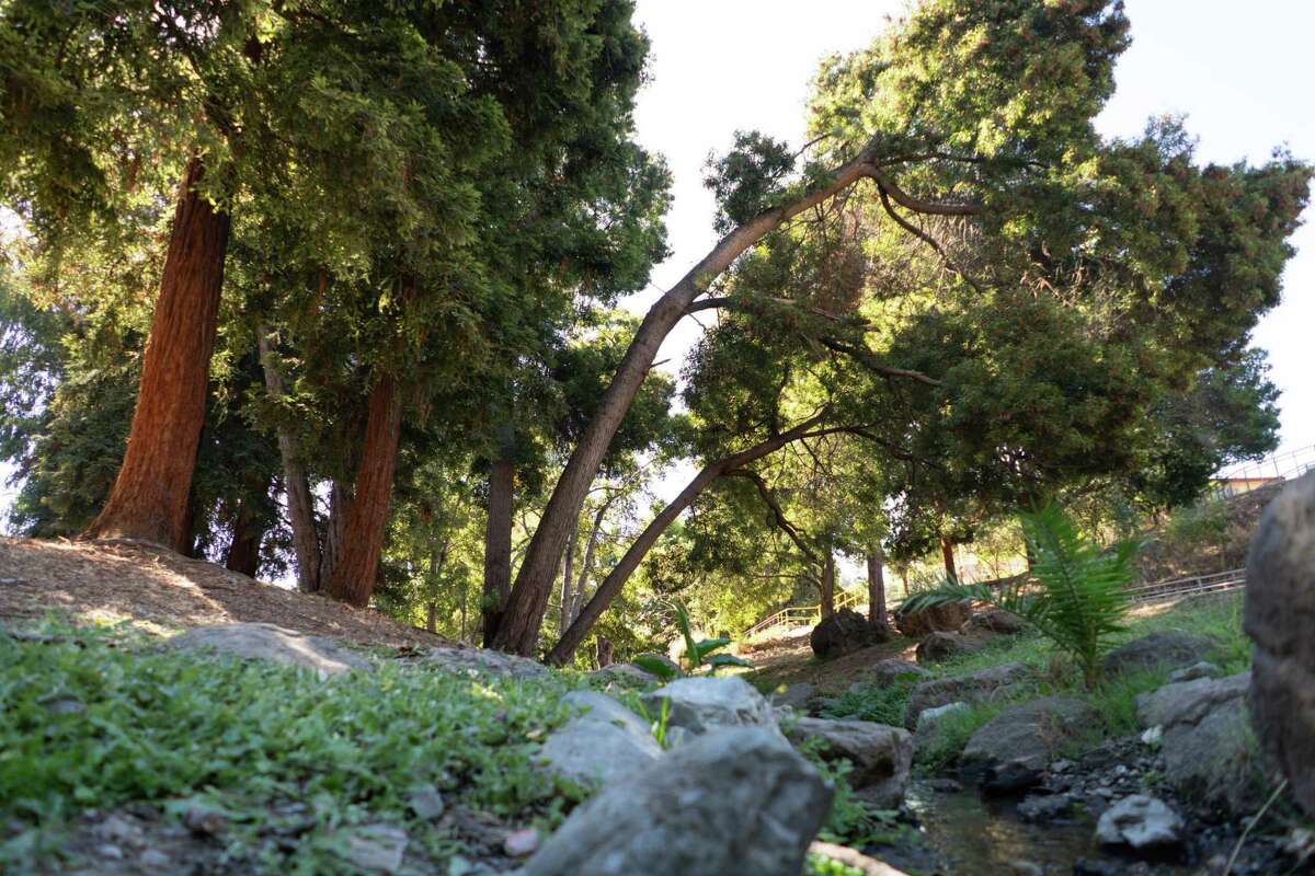 The lower park area provides a shade covered creek for visitors to enjoy at the Peralta Hacienda Community Park in Oakland.