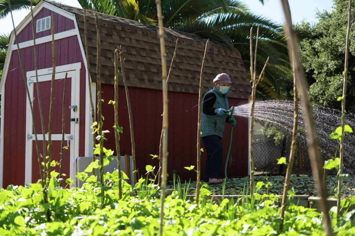 A gardener from the Mien community waters her crops on the property at the Peralta Hacienda Community Park in Oakland.