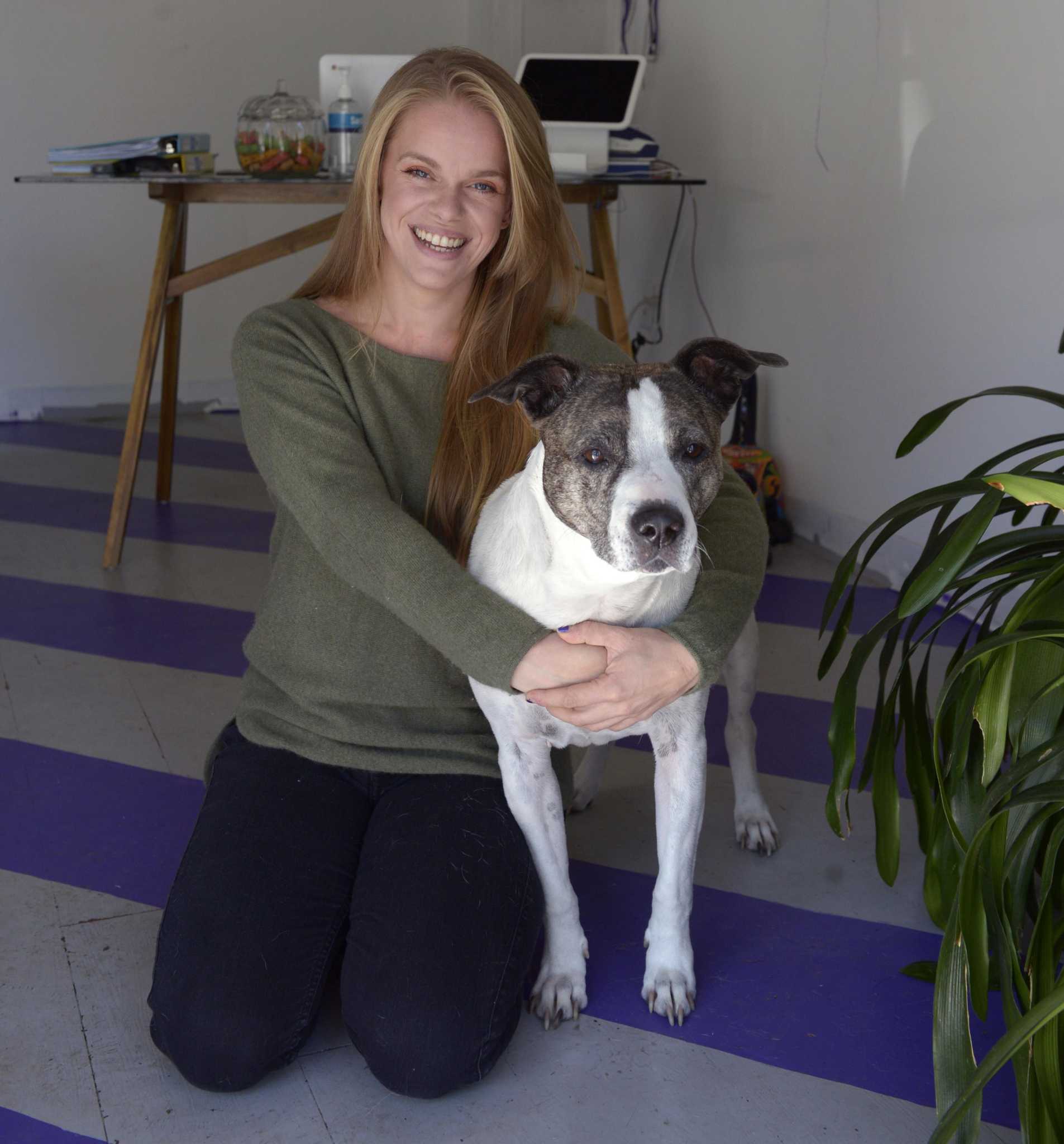 Pandemic breeds day care for Danbury area dogs: 'I have only been lucky' - Vimarsana News