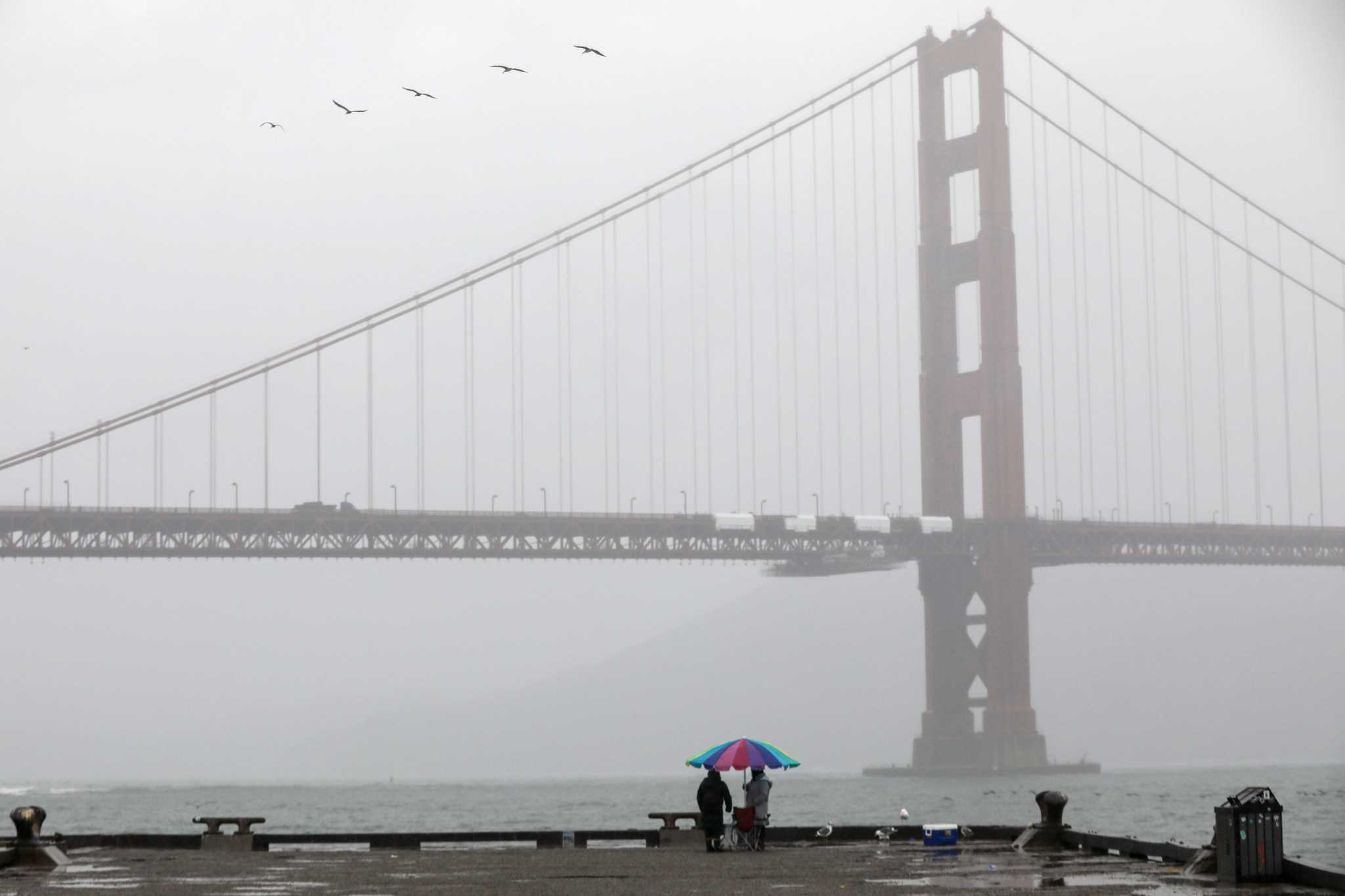 S.F. Bay Area weather live updates: Thursday to bring heaviest rain so far this week - Vimarsana News