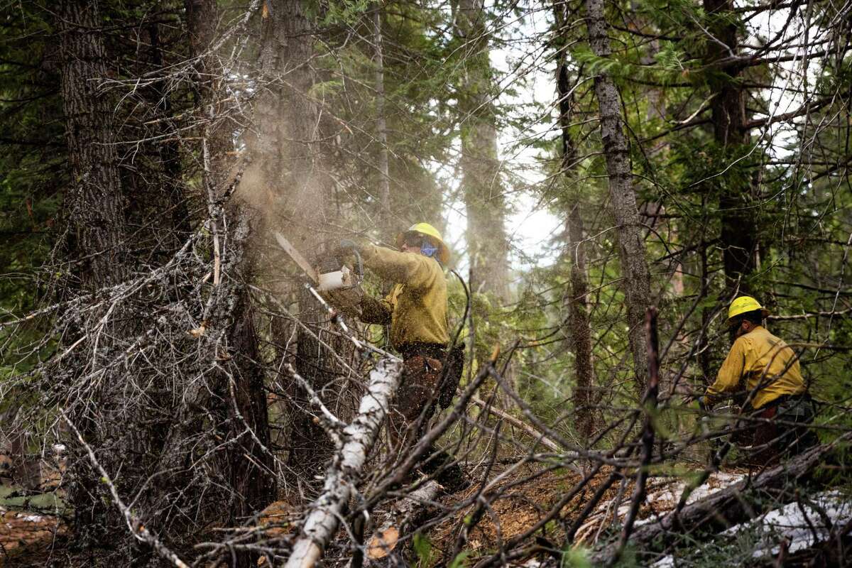 Sawyer Victor Cortez works on reducing fuels along Cat Creek Road in the Eldorado National Forest Tuesday. Hazard mitigation and repairs from fire damage continue to trails and other areas as snow begins to fall for the season.