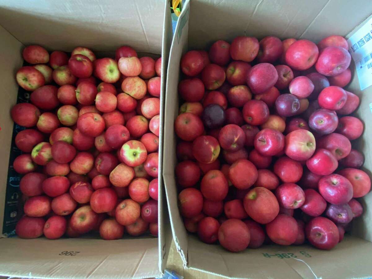 US Department of Agriculture spends $100M on Michigan apples