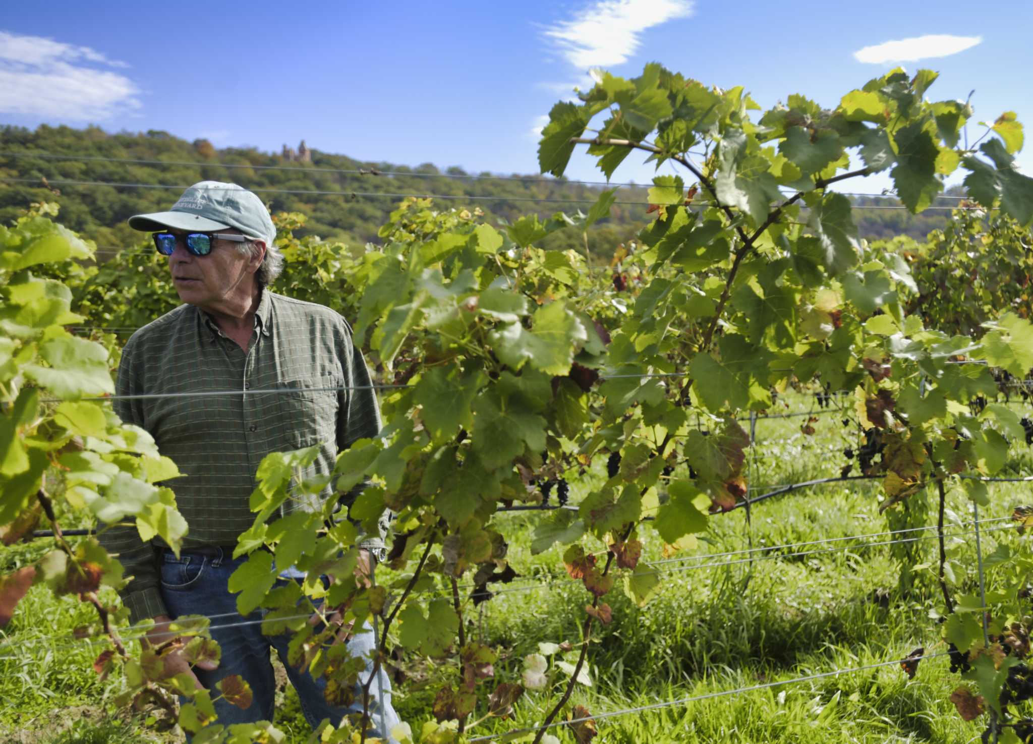 New crops grow in Hudson Valley as climate change progresses - Vimarsana News