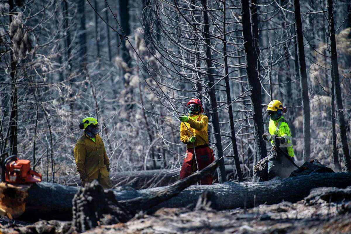 Crews work to remove burned trees that are in danger of falling. Many homes were lost in Grizzly Flats, near where the Caldor Fire started. The firefight continued even after being fully contained.
