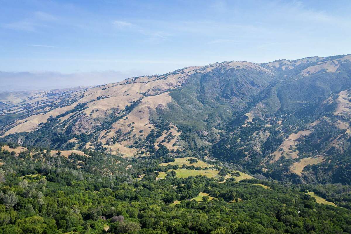 A view of hill on the 80-square-mile N3 ranch in the East Bay.