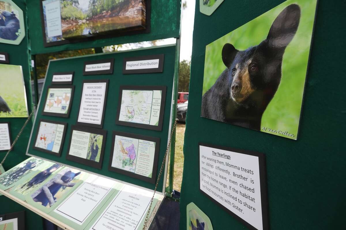 Information about Black bears is seen during OctoBEARfest to raise funds for a permanent refuge for displaced exotic and wild animals in Montgomery County, Saturday, Oct. 23, 2021, in Conroe.