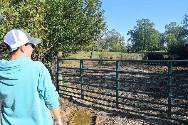 Social media-savvy farmer takes fields to fandom - Vimarsana News