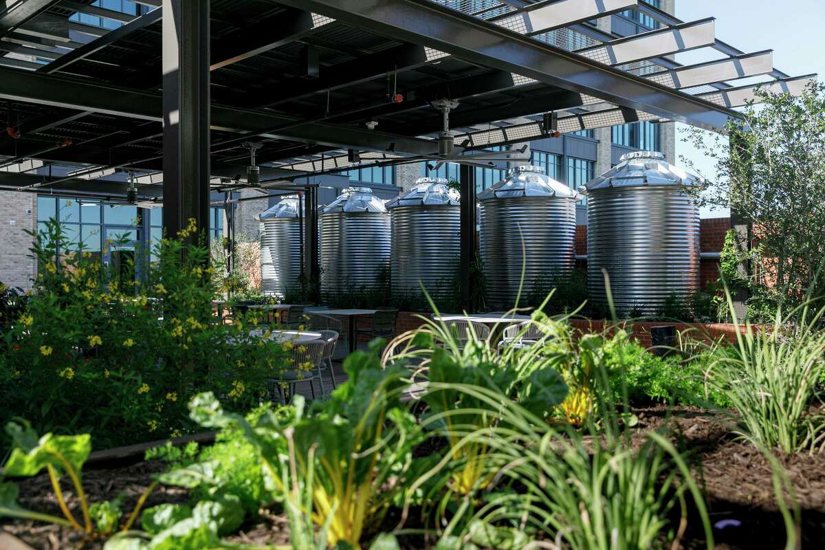 Rainwater cisterns are featured prominently on the outdoor patio at the Credit Human building at 1703 Broadway St. The water is collected and treated for various nondrinking uses, which results in buying 97% less water than other buildings its size.