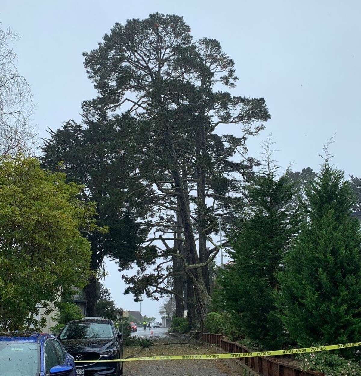 A 100-foot tree is threatening three structures on 9th Avenue in San Francisco as an atmospheric river swept the region on Oct. 24, 2021.