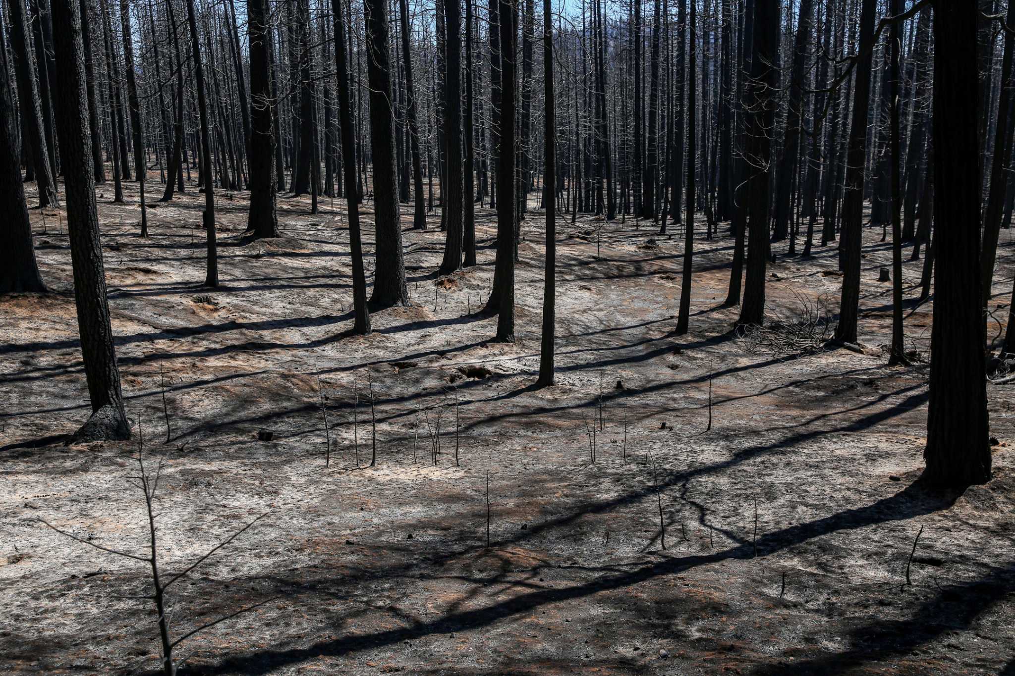California fire season is over. Flash floods are next. It doesn't have to be this way - Vimarsana News