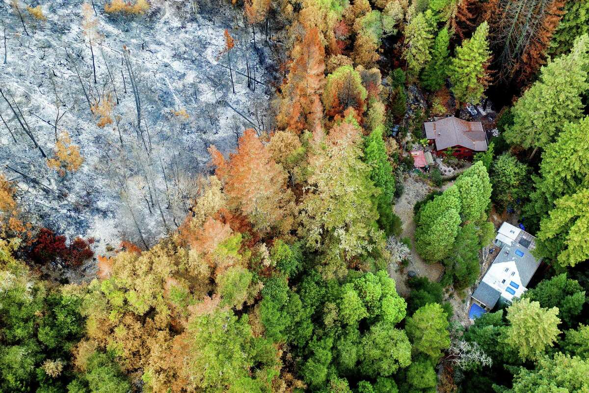 Houses stand below a hillside scorched during the CZU Lightning Complex fire in Boulder Creek on Oct. 9, 2020. Scientists and residents worry that charred hillsides will produce mudslides when winter rains hit.
