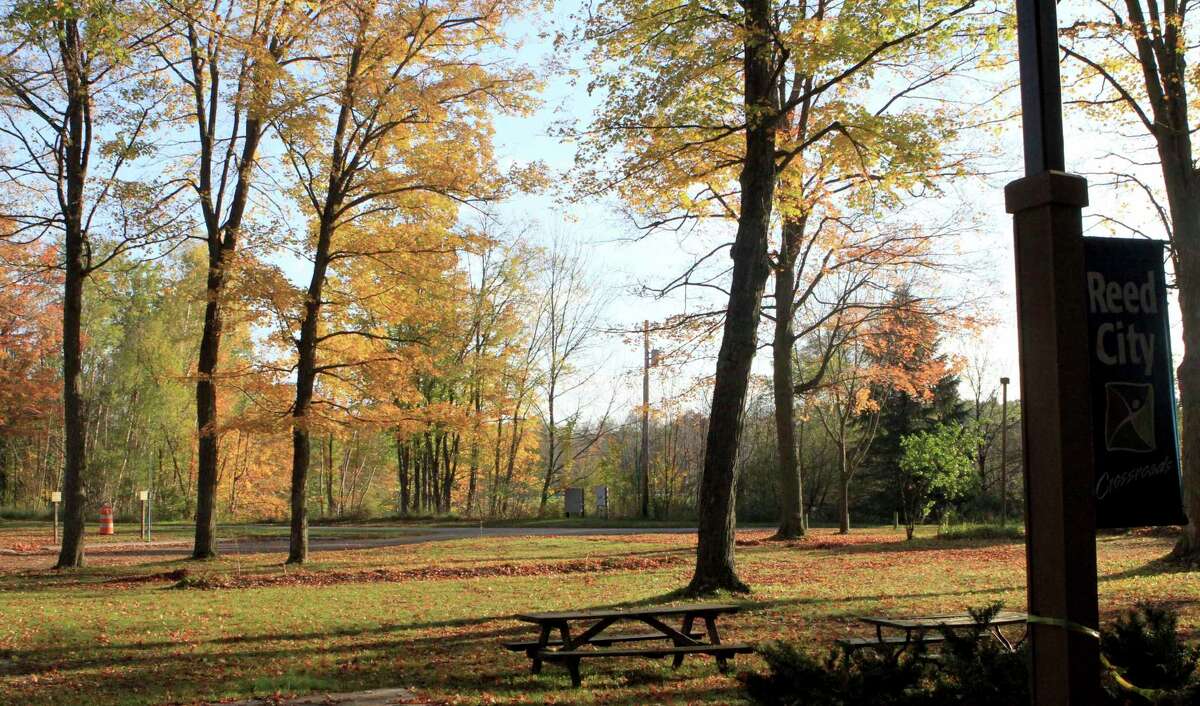 The changing leaves were seen collecting some sunlight on a recent morning at the Rambadt Park Campground n Reed City. (Herald Review photo/Joe Judd)