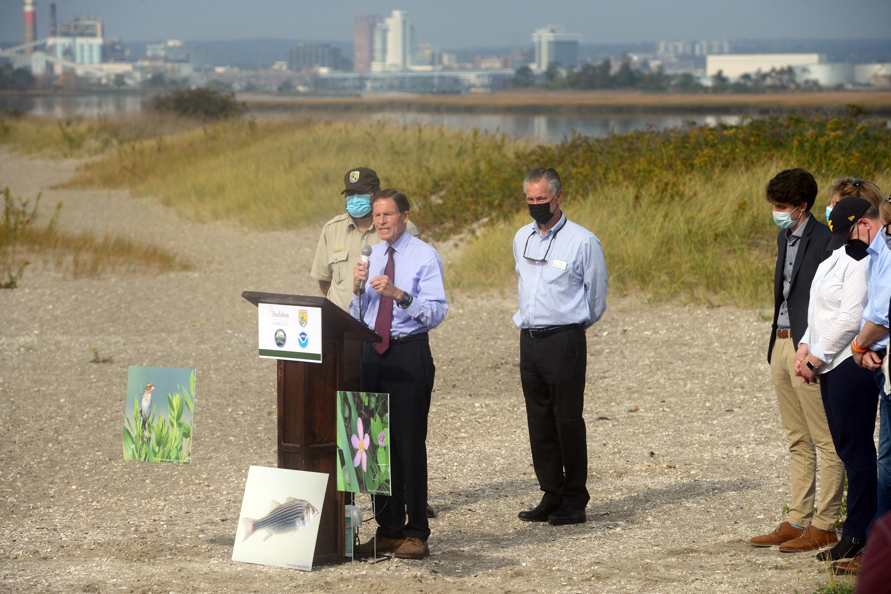 $4 million project will restore 33 acres of Stratford marsh land - Vimarsana News