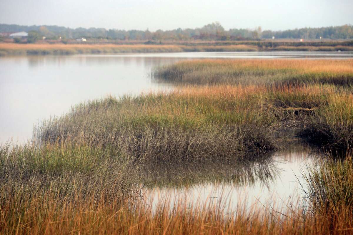 4 million project will restore 33 acres of Stratford marsh land