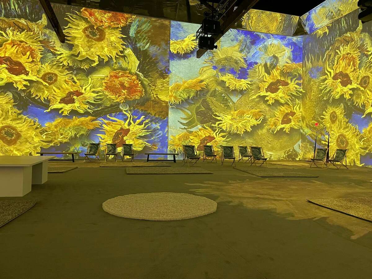 Van Gogh's countless sunflowers were displayed in an immersive experience. The sunflower is a central theme in more than 11 Van Gogh paintings.