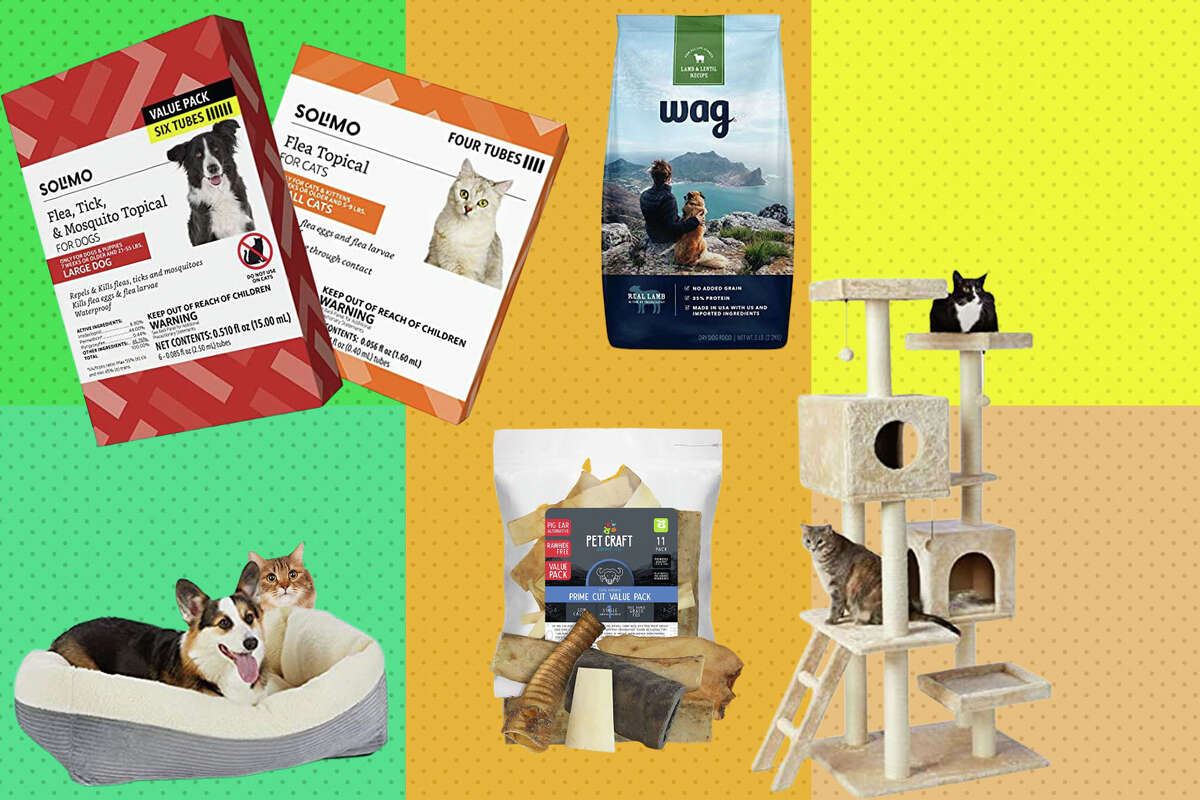 Up to 40% off on Pet Supplies from Amazon Brands