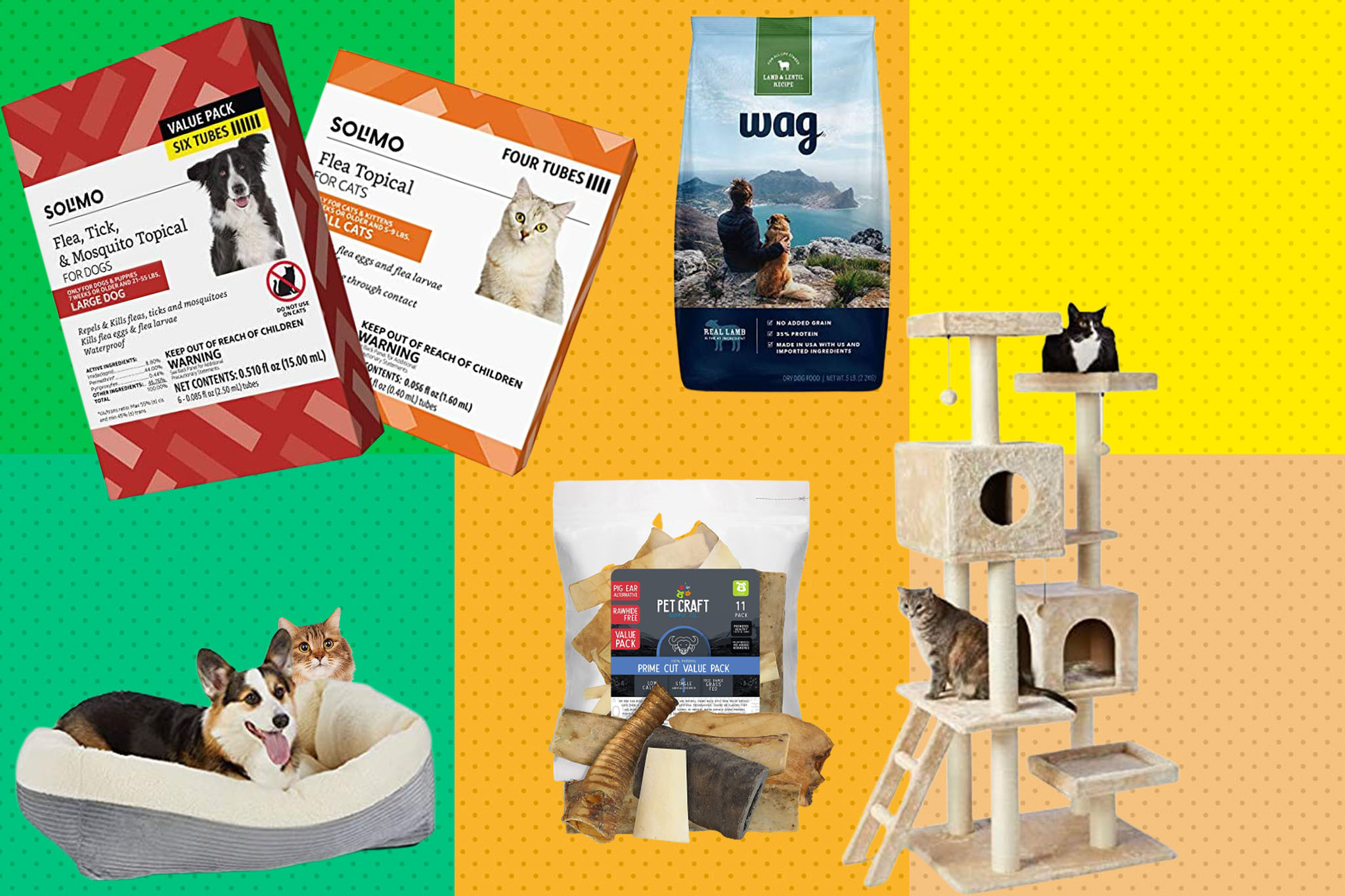 Press paws and shop Amazon's 40% off pet supplies sale - Vimarsana News